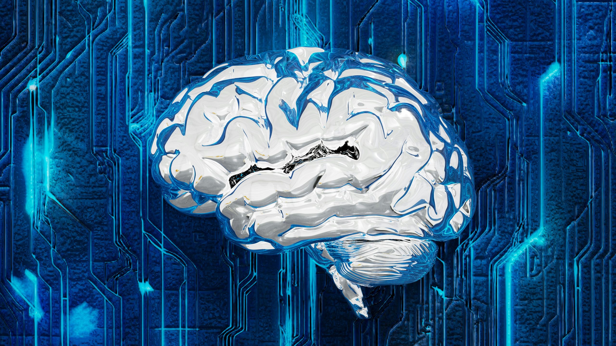 brain