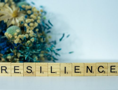 Building Human Resilience in Times of Change